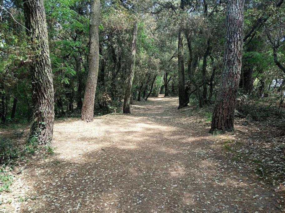 Studio Au Coeur Du Golf De Port Bourgenay, Proche Des Sables D'Olonne Talmont-Saint-Hilaire Esterno foto