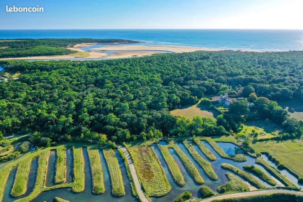 Studio Au Coeur Du Golf De Port Bourgenay, Proche Des Sables D'Olonne Talmont-Saint-Hilaire Esterno foto
